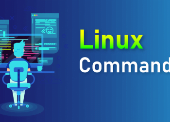 The most important Terminal commands in Linux