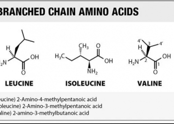 Basic Things to Know about BCAA Powders