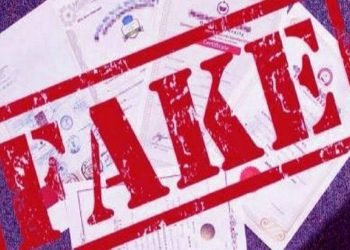 5 Reasons Why You Need a Fake Diploma