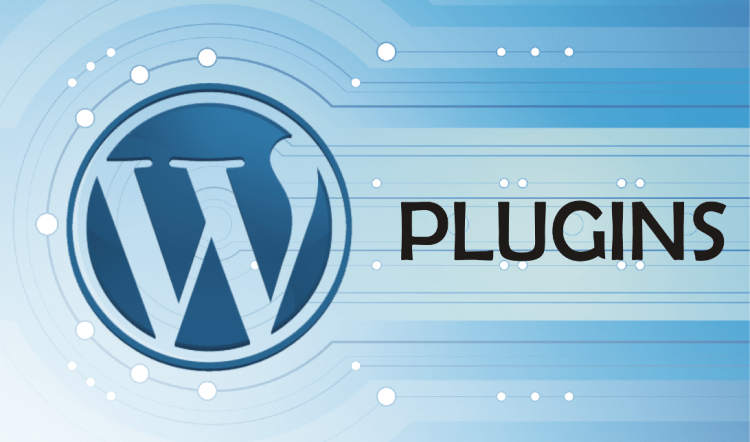 Plugins all successful websites have