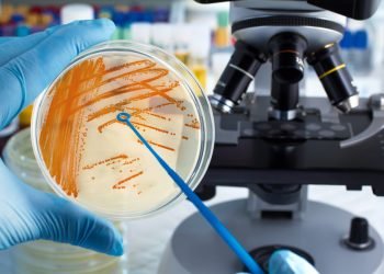 Microbiology testing Laboratory services and its many advantages