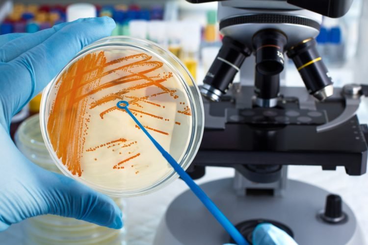 Microbiology testing Laboratory services and its many advantages