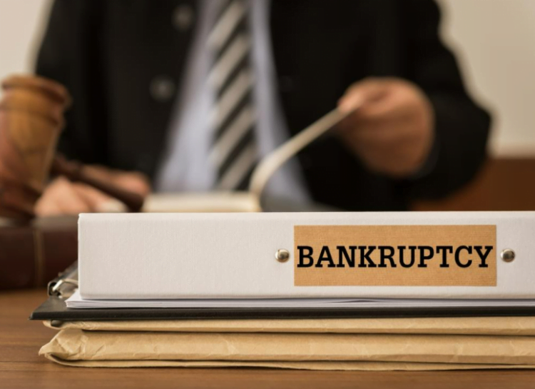 What can a bankruptcy administrator do? Duties and responsibilities