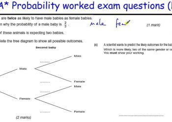 Top 10 tips on how to prepare for a probability exam