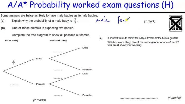 Top 10 tips on how to prepare for a probability exam