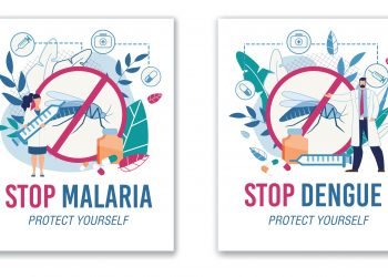 The Difference Between Malaria And Dengue