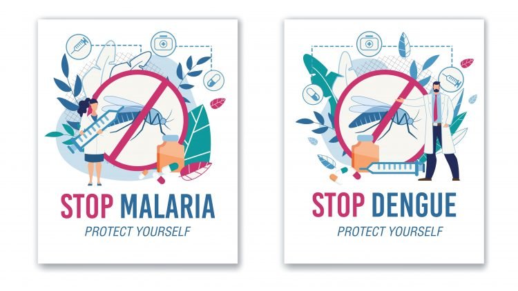 The Difference Between Malaria And Dengue