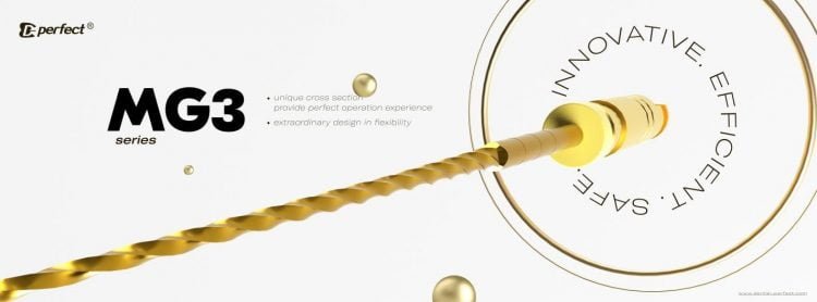 5 Things You Need to Know about PET Blow Molding Machine