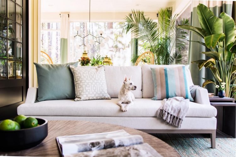 How Clean Your Upholstered Living Room Furniture?