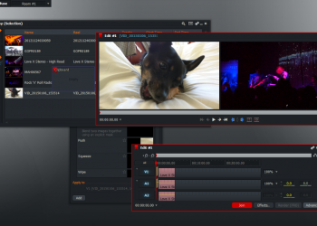 Top 6 Photo Editors That You Can Use To Edit Your Pictures