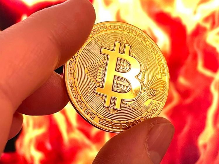 Bitcoin with Governments: Why Do They have Disagreement?