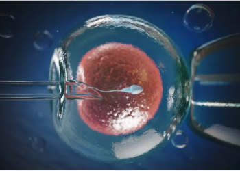 Low-Cost IVF Treatment in India