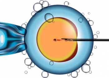 IVF Treatment: Food and Diet Advice for Those Trying to Conceive