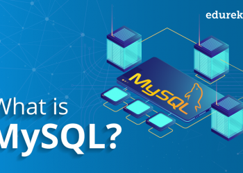MySQL – What Do You Need To Know About This Data Management System?