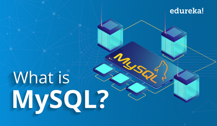 MySQL – What Do You Need To Know About This Data Management System?