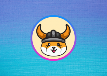 Why Buy Floki Coins?