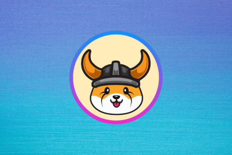 Why Buy Floki Coins?