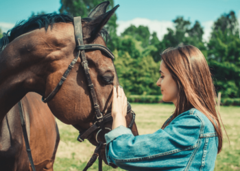 The First 5 Things To Do Before Buying A Horse