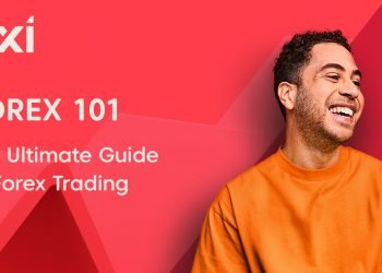 Forex Trading NZ: Basics for Beginners