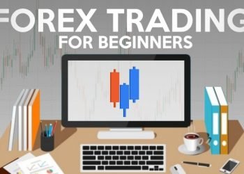 Forex Trading for Dummies: A Beginner’s Guide
