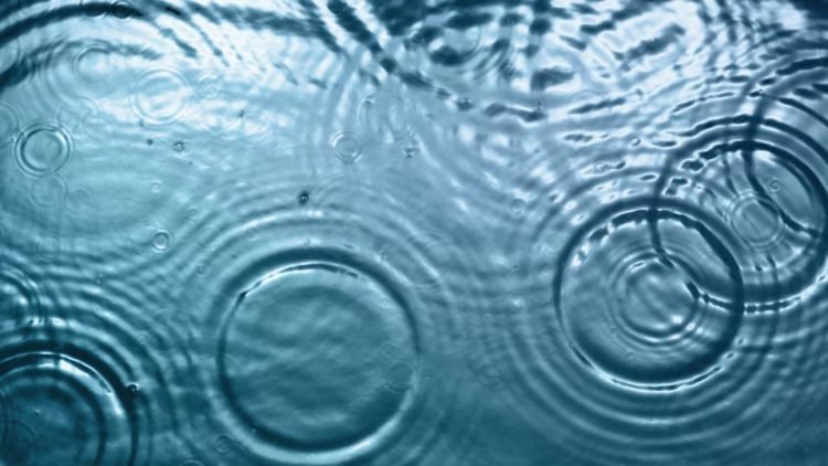 What is Ripple? Find some important information about Ripple