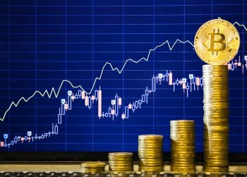 Crypto Taxes in the USA: Basic Principles