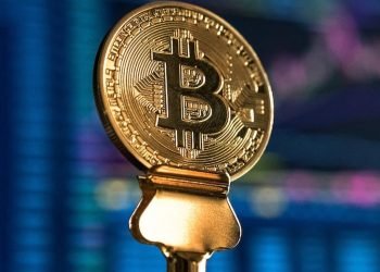 Important things to know about crypto domain&nbsp;