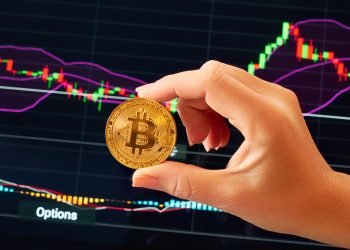 A Bitcoin Trader? Follow These Effective Crypto Trading Strategies