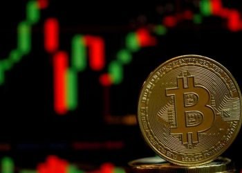 Bitcoin Vs Dollar- Which Asset Should You Choose For Trading?