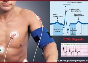 WHAT IS THE DIFFERENCE BETWEEN ECHO AND ECG?
