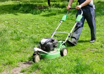 Commercial Lawn Mowers: Unveil Significant Traits And Specifications Regarding It Here!