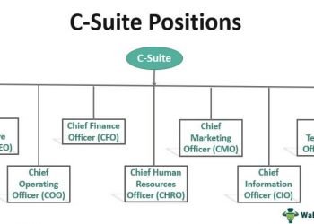 Chief Project Officer: Is This C-suite Position Critical for Your Organization?