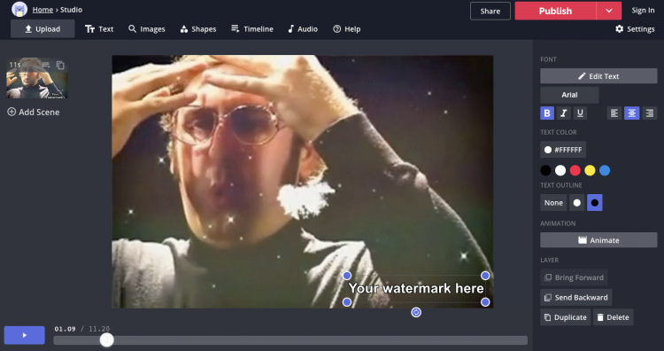 How to Watermark Videos Easily?