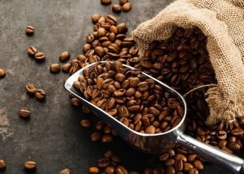 An Ultimate Guide to Coffee Beans