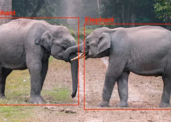 A Gentle Introduction to Object Recognition with AI