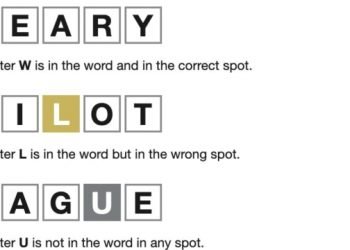 How To Play Qordle Wordle Game? Explained