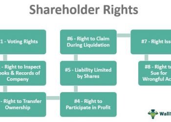 Understanding the costs of shareholder protection