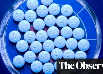 Can Brain Pills Help Improve Memory, Focus, and Productivity?