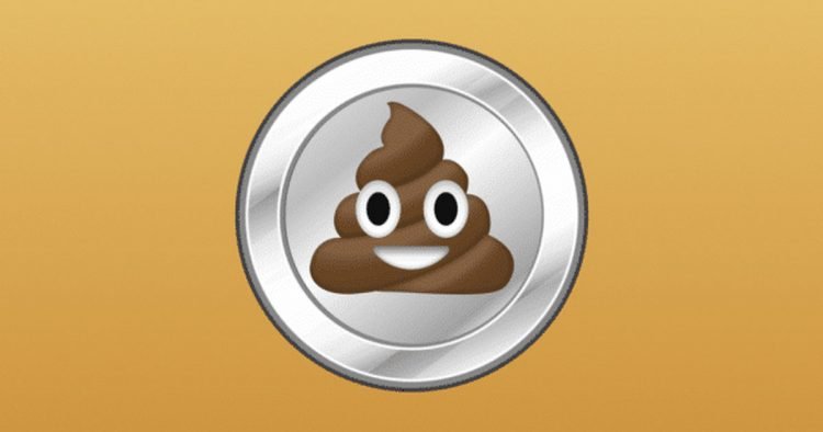 The Ins And Outs of Shitcoin: Everything You Need To Know