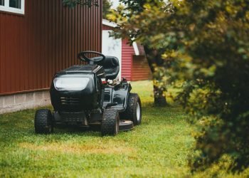 Why Are Lawn Care Businesses On Trend Nowadays?