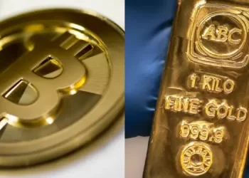 Bitcoin Vs Precious Metals