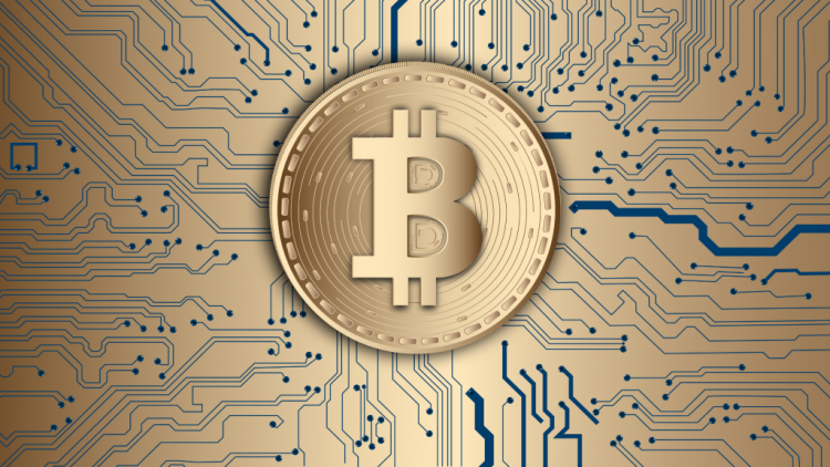 What is the Debate About Bitcoin Investment Safety?