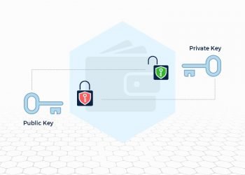 How to Protect Crypto Wallets, Public and Private Keys?