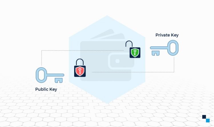 How to Protect Crypto Wallets, Public and Private Keys?