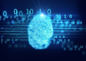 Encrypted crypto transactions attract a heavy influx of users