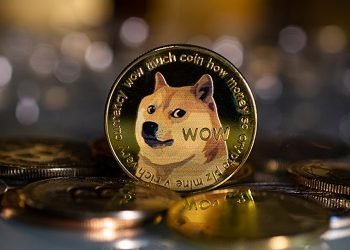 Should I Sell My Dogecoin: Pros And Cons