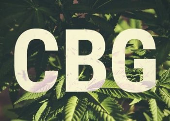 How to Use CBG Isolate a Buyer’s Guide?