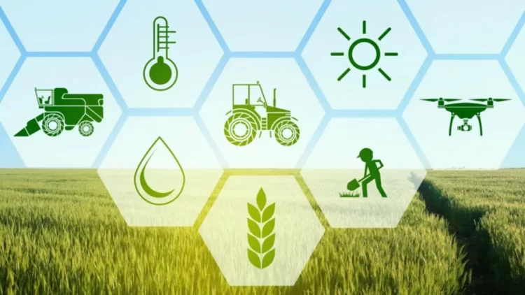The Contribution and Future of the Agri-Tech Economy in India