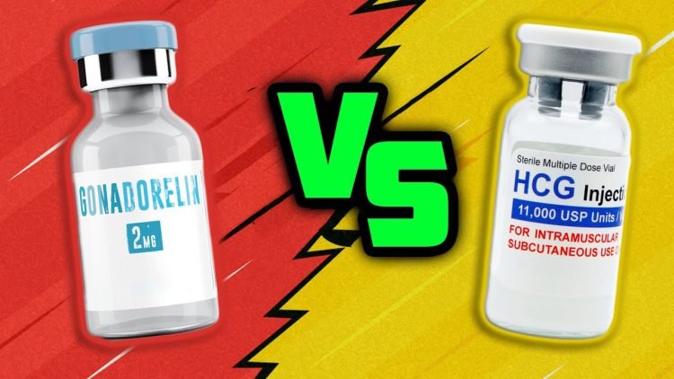 HCG Versus Gonadorelin- Which is better?