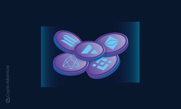 An In-Depth Guide On Altcoins